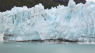 sıkı atış glacier ve kuş.