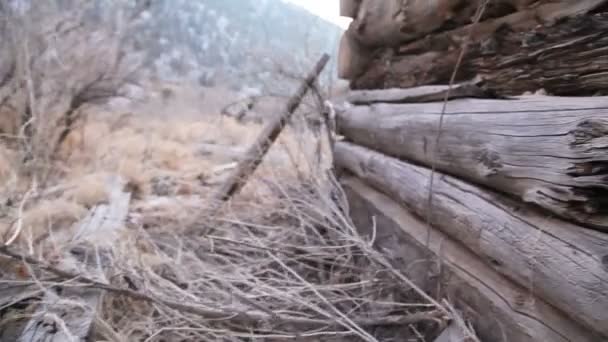 Dolly-shot van buiten oude cabin. — Stockvideo