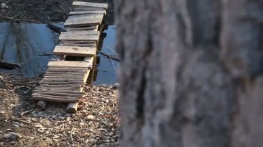 Dolly atış yaya köprüsü.