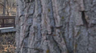 yolda yürüyen adam çekim Dolly.