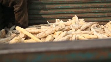 manyok kamyon yatakta Dolly vurdu