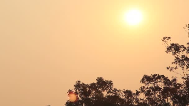 Pan del atardecer Congo — Vídeos de Stock