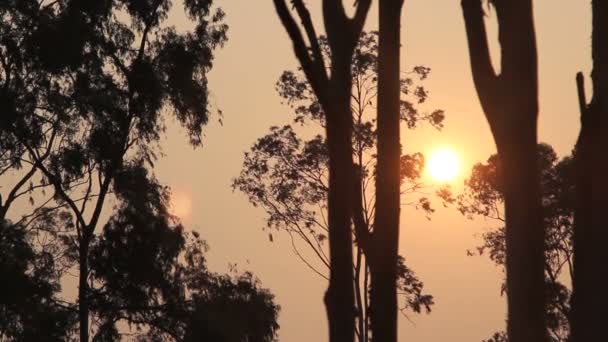 Pôr-do-sol Congo — Vídeo de Stock