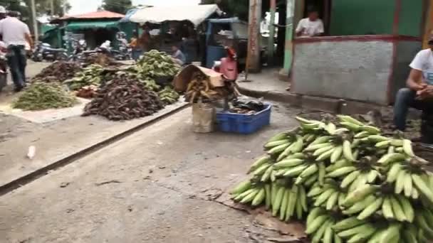 サント ・ ドミンゴ, ドミニカ共和国-2012 年 12 月 15 日： 正体不明の人の作業とドミニカ共和国のサント ・ ドミンゴの外にちょうど忙しい市場で買い物をします。（エディトリアル使用のみのため.) — ストック動画