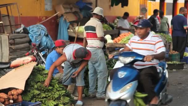 サント ・ ドミンゴ, ドミニカ共和国-2012 年 12 月 15 日： 正体不明の人の作業とドミニカ共和国のサント ・ ドミンゴの外にちょうど忙しい市場で買い物をします。（エディトリアル使用のみのため.) — ストック動画