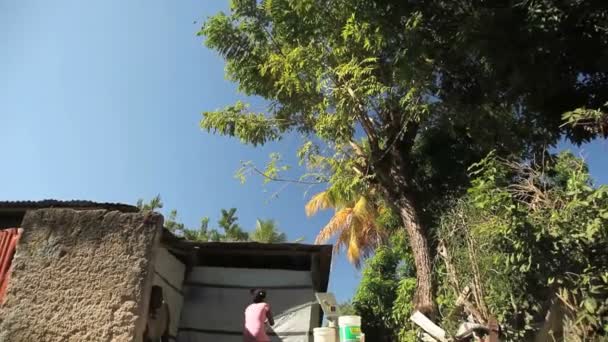 ポルトープランス, ハイチ - 2013 年 12 月 17 日： 正体不明の人ポルトープランス、ハイチの郊外の井戸に水をポンプします。（エディトリアル使用のみのため.) — ストック動画