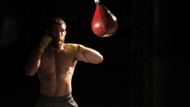 Boxeador lenta tiro ancho — Wideo stockowe