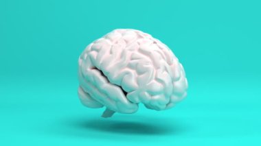 Gerçek insan beyni iç serebrum organ modeli kusursuz döngülü arka plan, sinir sistemi ve akıl sağlığı konsepti, güç zihni ve mantıksal düşünce 3D canlandırma animasyonu.
