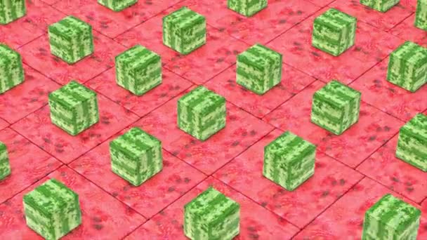Fresh Juicy Ripe Square Tasty Watermelon Fruit Motion Background Sweet — Stock Video