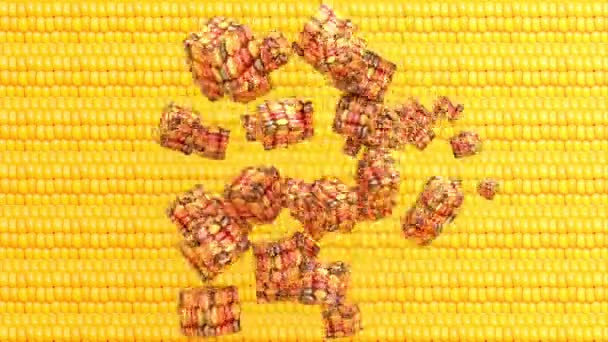 Κίτρινα Γλυκά Βιολογικά Υγιή Καλαμπόκι Και Καλαμπόκι Κόκκους Καθιστούν Κινούμενα — Αρχείο Βίντεο