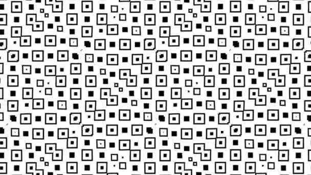 Geometrische Bewegende Zwart Wit Monochrome Psychedelische Patroon Vierkante Naadloze Looping — Stockvideo