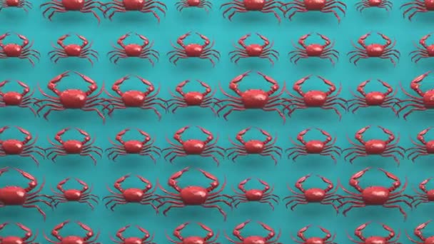 Ocean Gekocht Köstliche Gedämpfte Rote Krabben Nahtlose Looping Animierten Hintergrund — Stockvideo