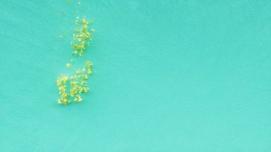 Merhaba Yaz metni, yaz tatili, rahatlama, turizm ve seyahat konsepti, dekoratif animasyon harfleri, Haziran Ağustos ayları, 3 boyutlu tebrik kartı sunumu.