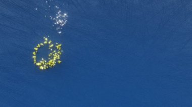Mübarek Bayramın kutlu olsun. Mübarek metinler, Müslüman kutlamaları ve İslam dini bayramı konsepti, ramazan dekoratif animasyon yazıları, tebrik kartı hareketinin 3 boyutlu canlandırması..
