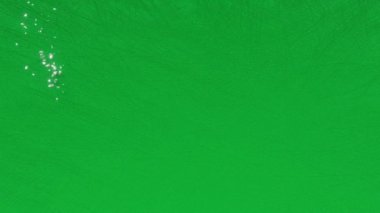 Aziz Patrick Günü 'nüz kutlu olsun. Yazı, İrlanda yürüyüşü geleneksel tatil konsepti.