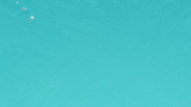Teşekkür ederim metin yazıları, minnet ve teşekkür, şükran ve minnettarlık tatil konsepti, ışıltılı dekoratif animasyon yazıları, tebrik kartı hareketinin 3 boyutlu canlandırması.