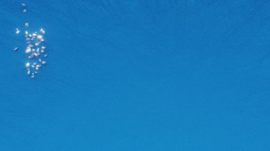Dünya Bilim Günü metin yazıları, yenilikçi eğitim teknolojisi bilgisi tatil konsepti, bilimsel araştırma animasyon harfleri, tebrik kartı hareketinin 3 boyutlu canlandırması.