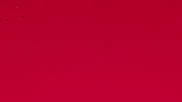 感謝の日のテキストの碑文 感謝と感謝 感謝の休日の概念 輝きの輝きの装飾的なアニメーションのレタリング お祝いの挨拶カードの動きの背景の3Dレンダリング — ストック動画