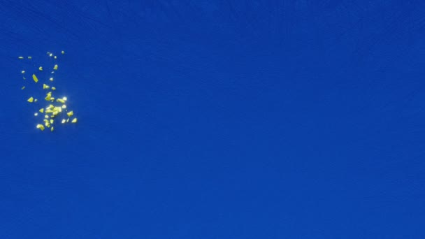 ハッピーハヌカ文字の碑文 ユダヤ教のハヌカやハヌカの休日の概念は 輝きの装飾的なアニメーションのレタリング お祝いの挨拶カード チャヌカやチャヌカの動きの背景の3Dレンダリング — ストック動画