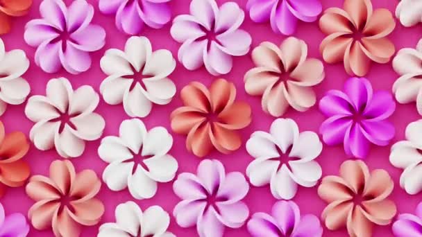 Floración Floral Fondo Decorativo Romántico Con Flores Exóticas Pétalos Flores — Vídeos de Stock