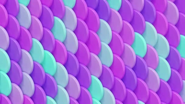 Bewegende Violette Cirkels Muntachtergrond Trendy Minimale Looping Animatie Creatief Geometrische — Stockvideo