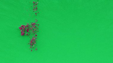 Mutlu Ejder Gemisi Festivali metin yazıları, Çin ejderhası tekne yarışı, geleneksel Asya su sporları yarışması konsepti, doğu bayramı animasyon yazıları, tebrik kartı geçmişi.