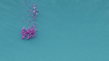 Mutlu Ebeveynler Günü metin yazıları, ebeveyn sevgisi ve mutlu ebeveyn bayramı konsepti, anne ve baba bakımı, dekoratif animasyon yazıları, şenlikli tebrik kartı hareketi geçmişi.