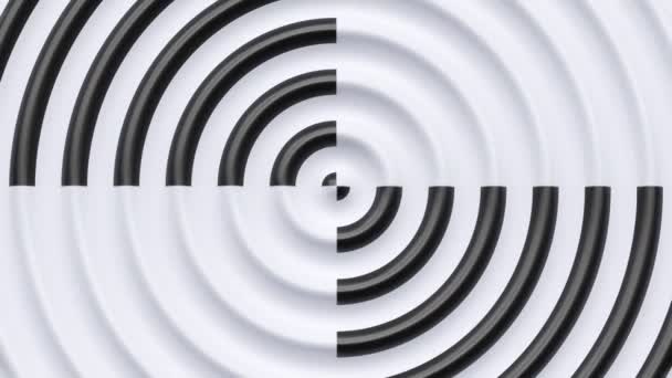 白光洁白的黑色波状同心现代圆形径向动力抽象背景 3D渲染无缝环状波纹 几何环状液体壁纸 未来主义运动圈 — 图库视频影像