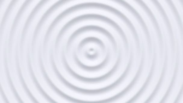 Białe Światło Czyste Faliste Koncentryczne Nowoczesne Okrągłe Promieniowe Dynamiczne Abstrakcyjne — Wideo stockowe