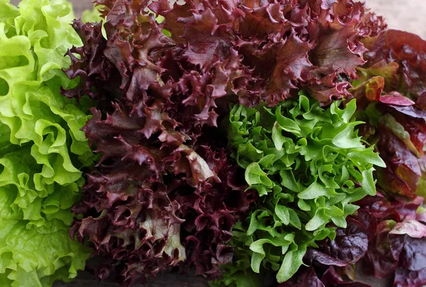 Концепція Здорової Їжі Свіжою Органічною Руколою Листям Трави Салату Темному — стокове фото