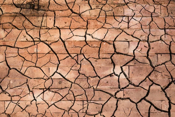 taş duvar çatlakları ile