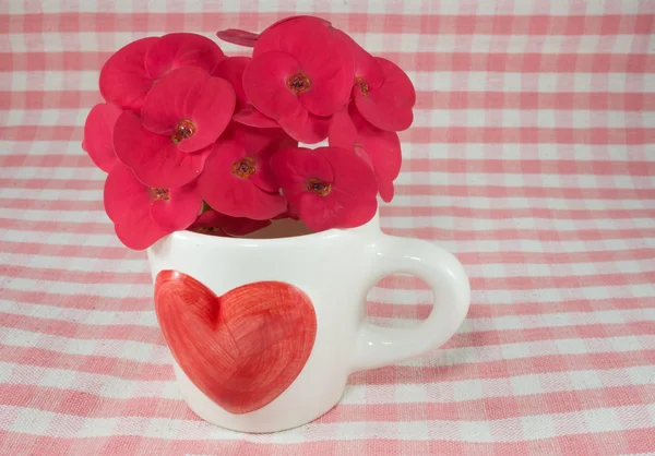 kahve fincanı love Tema