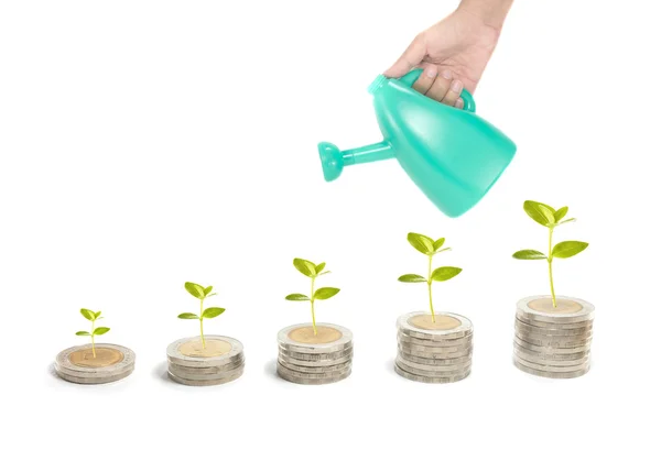 Investment concept — Stock Photo, Image