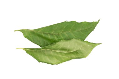 Beyaz arka planda izole edilmiş iki tane kurumuş neem yaprağı. Üst görünüm.