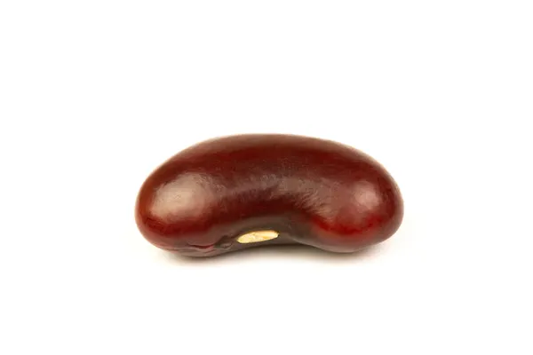 Close Single Red Bean Kidney Bean Isolated White Background — Stock Photo, Image