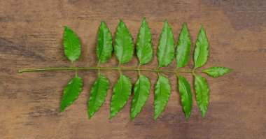 Tahta arka planda yakın yaprak, neem mükemmel bir nemlendiricidir ve böcek öldürücü ve tıbbi özellikleri olan çeşitli bileşikler içerir..