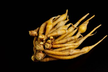 Taze parmak kökü (Krachai) siyah arkaplanda izole edildi. Bilimsel adı Boesenbergia rotunda. Parmak kökü bitki ve Tayland yemeği malzemesidir..