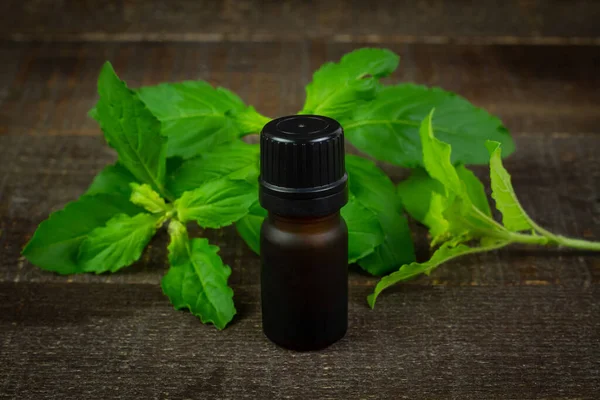 Kutsal fesleğen ya da Tulsi esans yağı şişede Kutsal fesleğen dalı ile ahşap arka planda.