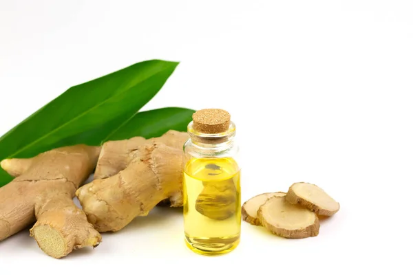 Ginger Essential Oil Bottle Fresh Ginger Isolated White Background Scientific — Stock Photo, Image