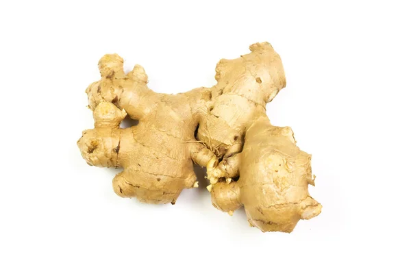 Rhizome Ginger Segar Diisolasi Pada Latar Belakang Putih — Stok Foto