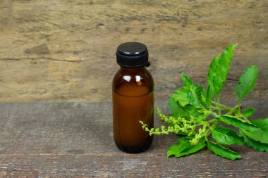 Fesleğen ya da Tulsi esans yağı şişede Basil dalı ve kırsal ahşap arka planda yeşil yaprak..