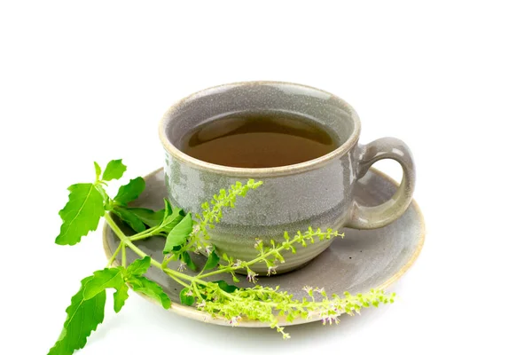 Tulsi ya da gri seramik fincanda beyaz zemin üzerinde tütsü yaprağı ve dal bulunan kutsal fesleğen çayı. Hindistan 'da Ayurvedic tıp. Sağlık için iç..