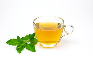 Tulsi ya da şeffaf bardaktaki kutsal fesleğen çayı ve beyaz arka planda taze tütsü yaprağı. Hindistan 'da Ayurvedic tıp. Sağlık için iç..