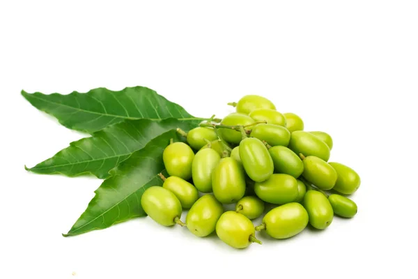 Frische Neem Frucht Mit Neem Grünen Blatt Isoliert Auf Weißem — Stockfoto