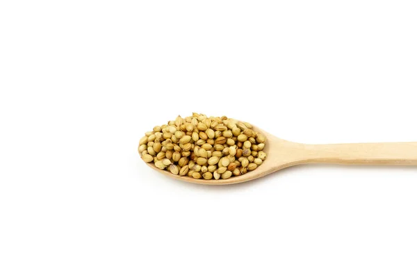 Coriander Seeds Wooden Spoon Isolated White Background Coriander Seeds Food — Stock Photo, Image