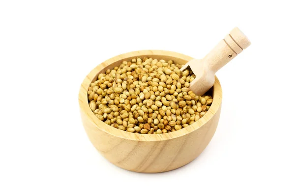 Coriander Seeds Wooden Bowl Scoop Isolated White Background Coriander Seeds — Stock Photo, Image