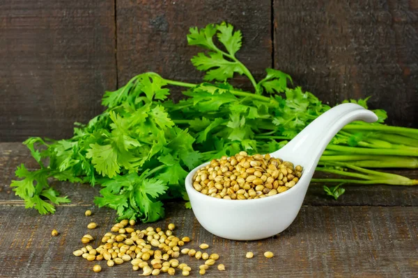 Coriander seeds on white bowl with green leaf on rustic wooden background. Coriander seeds are a food ingredient and medicinal herbs.