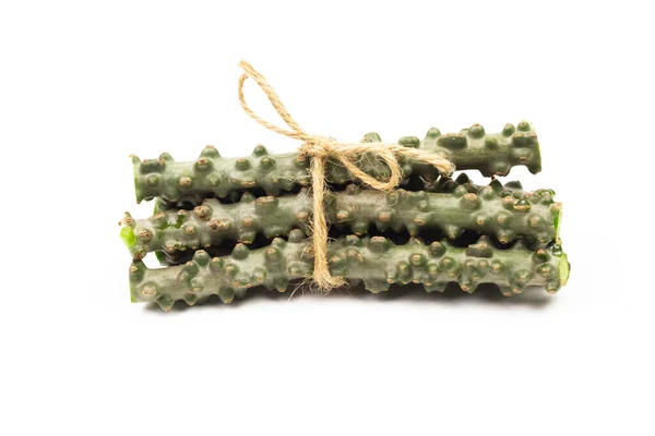 Tinospora cordifolia bitkisi beyaz arka planda izole edilmiş. Tinospora cordifolia acı bir tatlandırıcıya sahiptir ve geleneksel tıpta tıbbi malzeme olarak kullanılır..