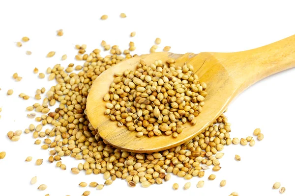 Coriander Seeds Wooden Spoon Isolated White Background Coriander Seeds Food — Stock Photo, Image