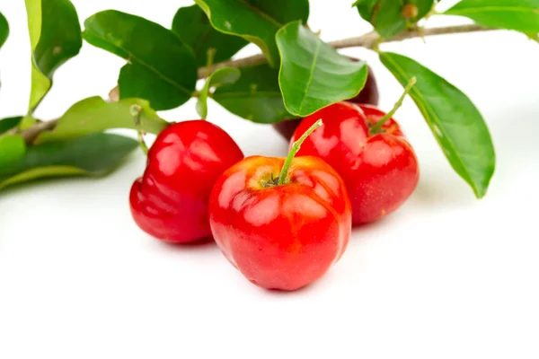 Beyaz arkaplanda yeşil yapraklı Acerola Cherry veya Barbados Cherry.